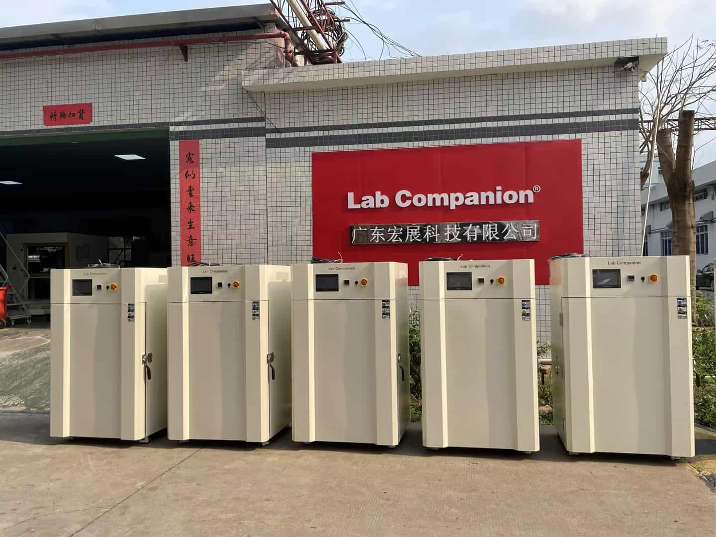 ¿Cuáles son los estándares de entrega de Lab Companion?